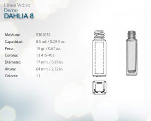 Dahlia 8