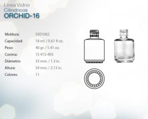 Orchid-16
